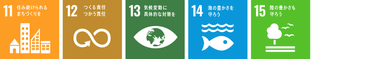 ゴール11、ゴール12、ゴール13、ゴール14、ゴール15